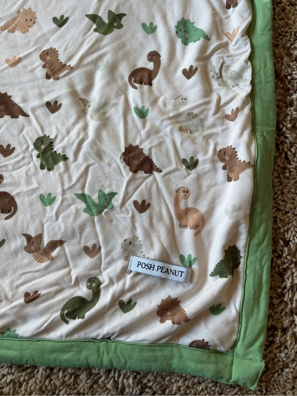 Green Trim Woodland Baby Blanket - Reversible Check & Animal Print: Posh Peanut